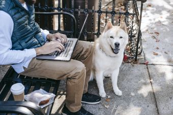 Akita Inu sitting near man freelancer on street